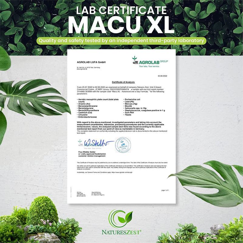 Macu XL - Lutein and Zeaxanthin Supplement - 6 Month Supply with Meso Zeaxanthin, Bilberry Extract, Vitamins A, B12 & Zinc, 180 Vegan Capsules - Eye Supplement for Vision Health � Packaging May Vary - BeesActive Australia
