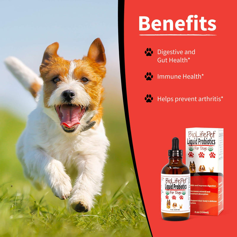 LiviaOne BioLifePet Liquid Probiotics for Dogs, Organic Dog Probiotic Supplements, Puppy and Dog Pet Probiotics, 4 Fl Oz (Pack of 1) - BeesActive Australia