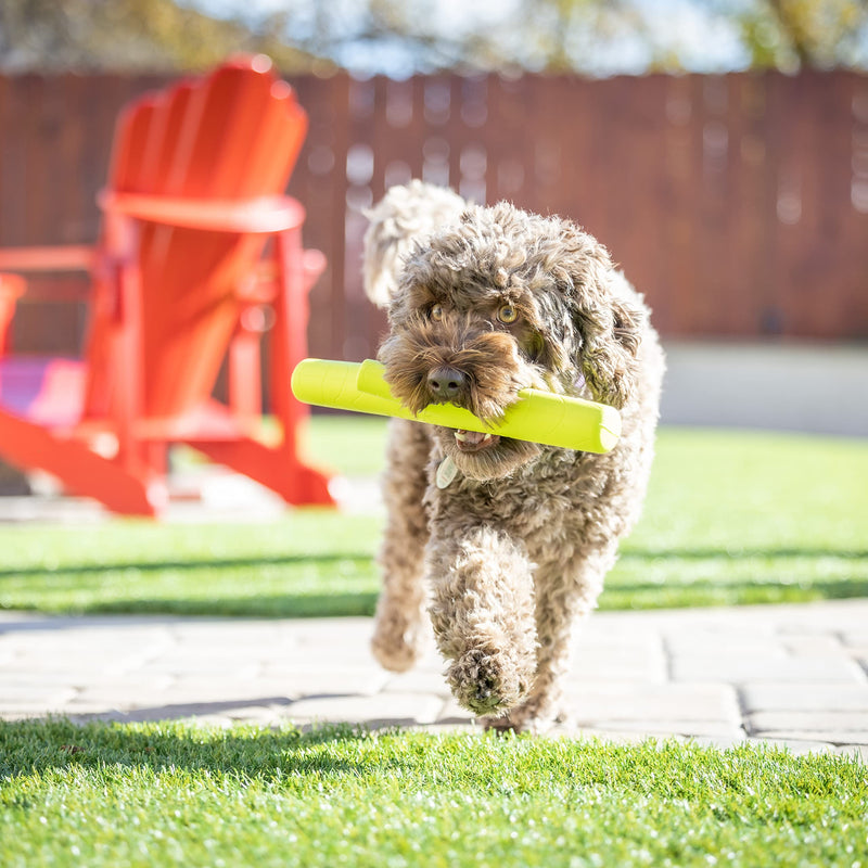 Hyper Pet Chewz EVA Dog Toys & Fossil Durable Dog Chew Toys (EVA: Mild Chewers, Fetch Toy & Floats on Water) FOSSIL: 2 in 1 Chew Toy & Slow Feeder - Bacon Flavored, Long Lasting for Aggressive Chewers one size - BeesActive Australia