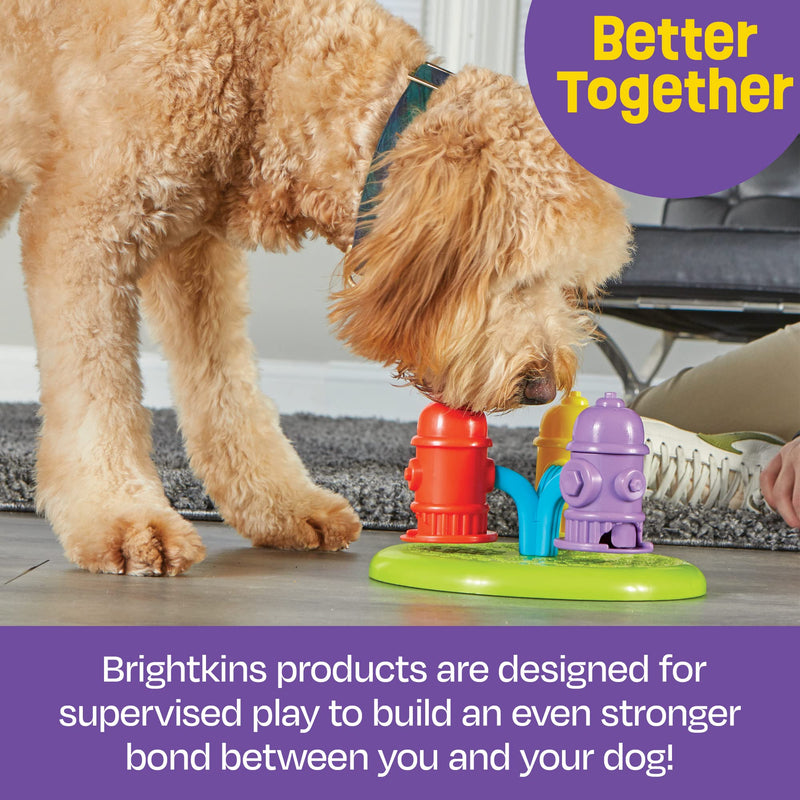 Brightkins Spinning Hydrants Treat Puzzle - 3 Colorful Hydrant Feeders Puzzle for Dogs, Puzzles for Dogs, Toys for Dog Stimulation, Dog Treat Puzzles - BeesActive Australia