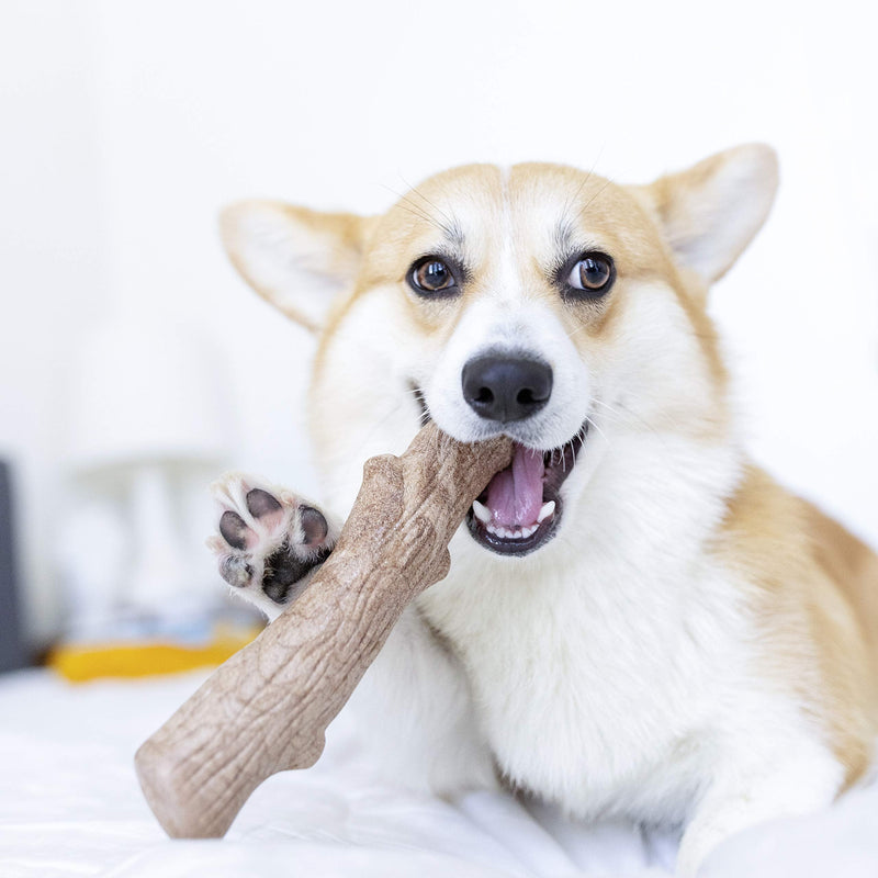 Petstages Dogwood Wood Alternative Dog Chew Toy Large - BeesActive Australia