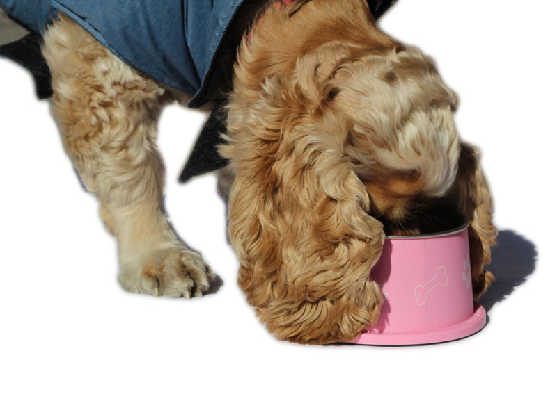 PETish Spaniel Bowl for Long Ear Dog - Ergonomic Personalized Custom Design Bowls, NO Tip Stainless Dish Medium ( 17oz - 6.3 x 5.3 x 3.0inch ) Candy Pink - BeesActive Australia