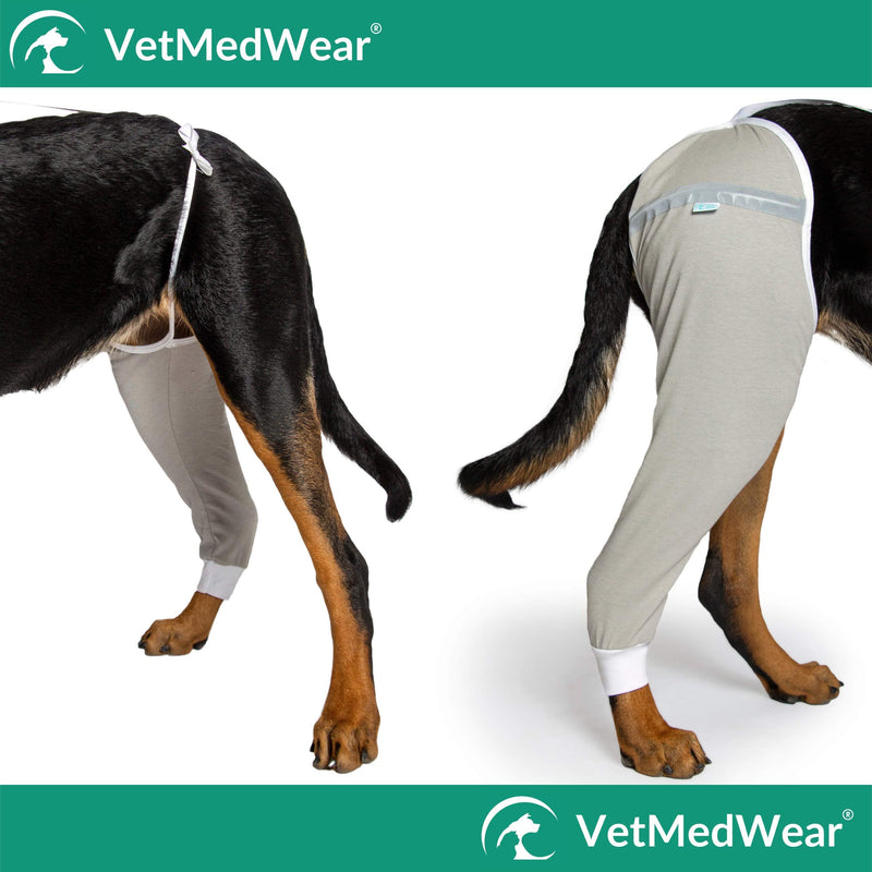 After Surgery Wear Hip and Thigh Wound Protective Sleeve for Dogs. Dog Recovery Sleeve. Recommended by Vets Worldwide Medium Purple - BeesActive Australia