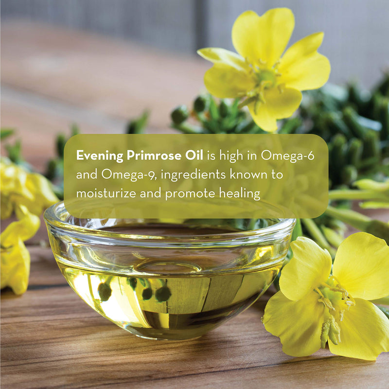 Evening Primrose Oil - liquid, not capsules - for Face, Skin and Hair by Pure Body Naturals, 4 fl oz - BeesActive Australia