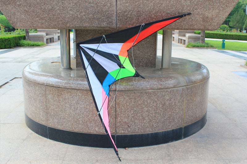 [AUSTRALIA] - HENGDA KITE New 48 Inch Stunt Kite Outdoor Sport Fun Toys Dual Line Sport Kite - Includes Kite Line and Bag Lightning-48 Inch 