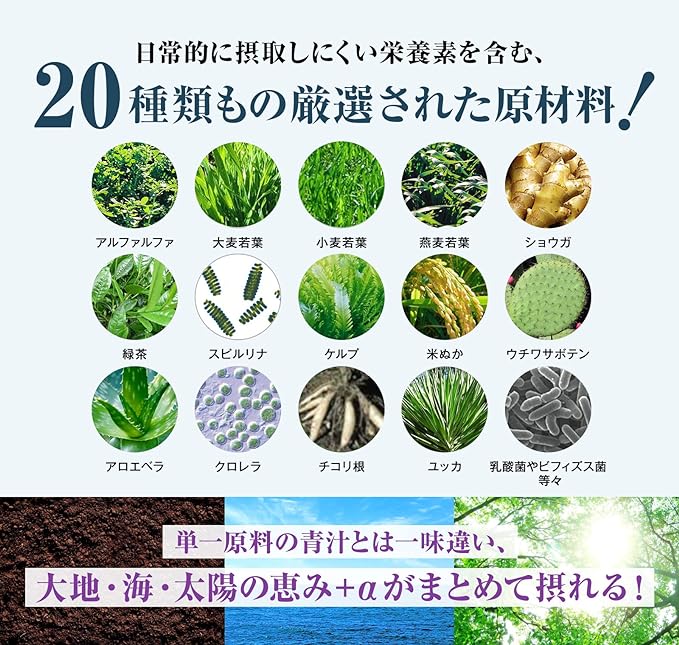 bezipawa-purasu (30 Pieces) The Vege Power Plus - BeesActive Australia