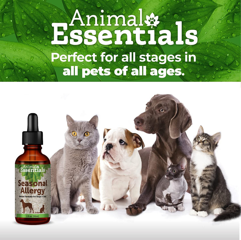 Animal Essentials Seasonal Allergy Herbal Supplement for Dogs & Cats - Made in The USA, Sweet Tasting Allergy Relief 1 fl oz (30 ml) - BeesActive Australia