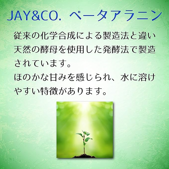 JAY&CO. Natural Yeast β-Alanine Beta-Alanine Unprocessed 100% Powder (Final Processing Place: Japan) (500g) - BeesActive Australia