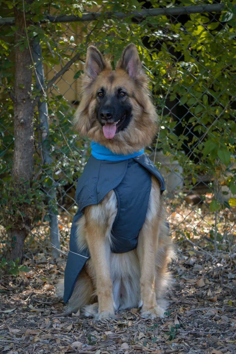 SlowTon Dog Winter Coat, Windproof 3 Layers Thick Warm Fleece Lining Dog Jacket for Cold Weather, Reflective Dog Apparel Dog Clothes with Leash Opening for Medium Large Dogs(Green Camo,3XL) XXX-Large(Chest 32''-36'') Green Camouflage - BeesActive Australia