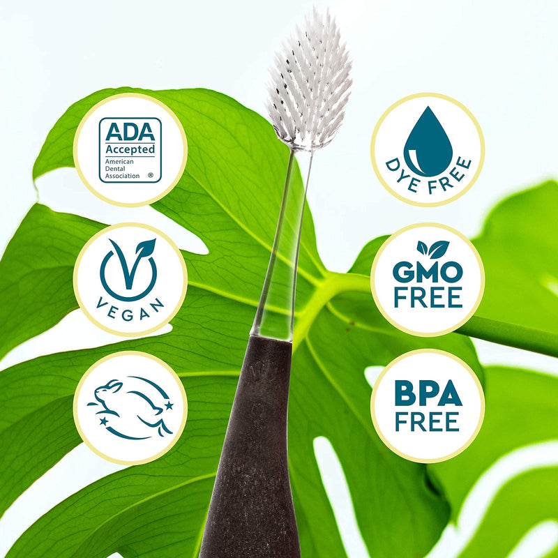 RADIUS Toothbrush Source Floss Brush BPA Free & ADA Accepted Improve Gum Health & Reduce Gum Issues - Soft - Cornstarch - Pack of 1 1 Count (Pack of 1) - BeesActive Australia