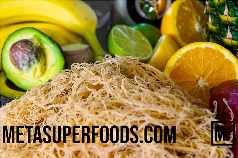 Dried Irish Sea Moss 100g | Caribbean Sea Moss | UK Made | Vegan | Wild Harvested | Non GMO | Natural Vitamins & Minerals | Dr Sebi - BeesActive Australia