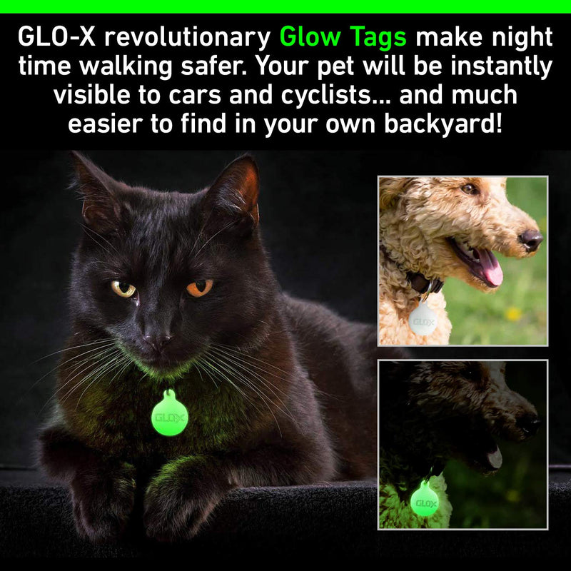 GLO-X Dog Glow Tag - Glow in The Dark Cat Tags to Keep Your Pets Safe at Night - 12+ Hours Glow Time - Charges in Daylight - No Batteries Required 1.38” x 1.10” Diameter - BeesActive Australia