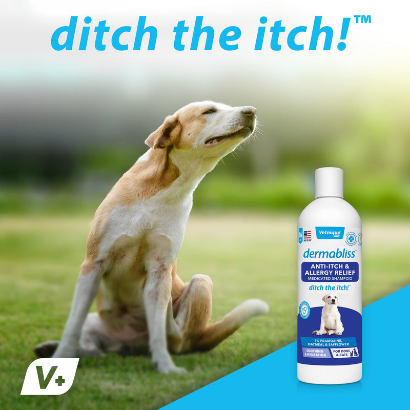 VETNIQUE LABS Dermabliss Dog Anti-Itch & Allergy Relief, Medicated Shampoos, Hot Spot, Benzoyl Peroxide Help Relieve Irritated Skin - Ditch The Itch Itch Relief 16oz Shampoo - BeesActive Australia