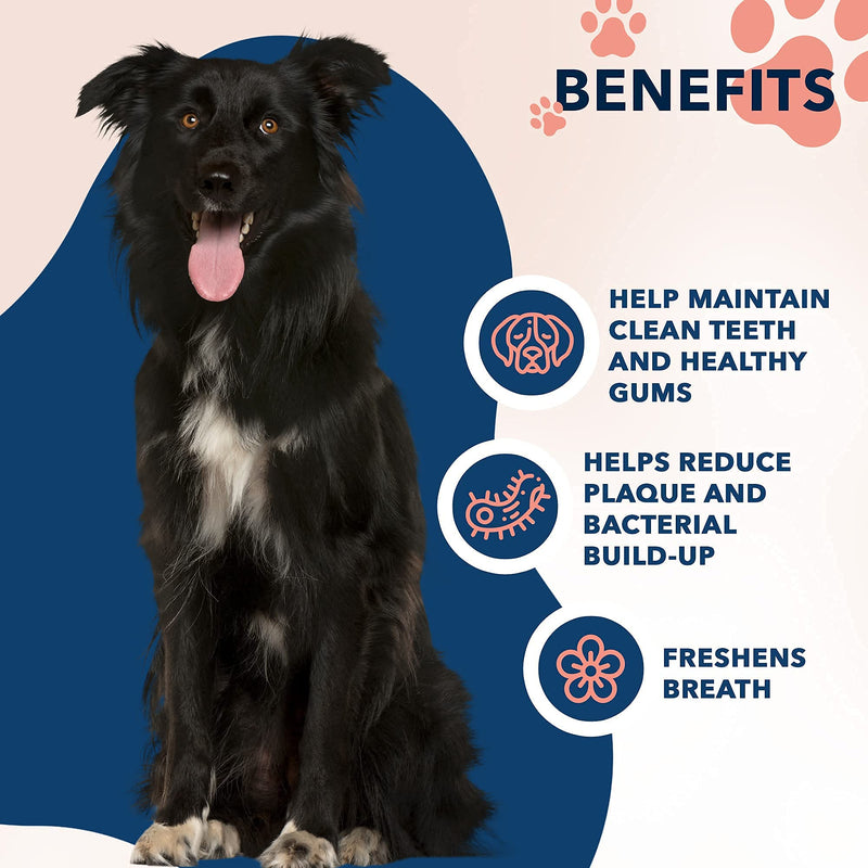 Vets Preferred Dog Toothpaste & Freshener, Advanced Enzymatic Toothpaste & Oral Care Water Additive for Dogs - BeesActive Australia