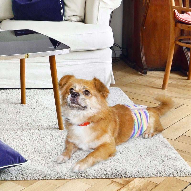 TONY HOBY Male Dog Diapers, Washable Male Dog Belly Band, Reusable Male Dog Wrap Small - BeesActive Australia
