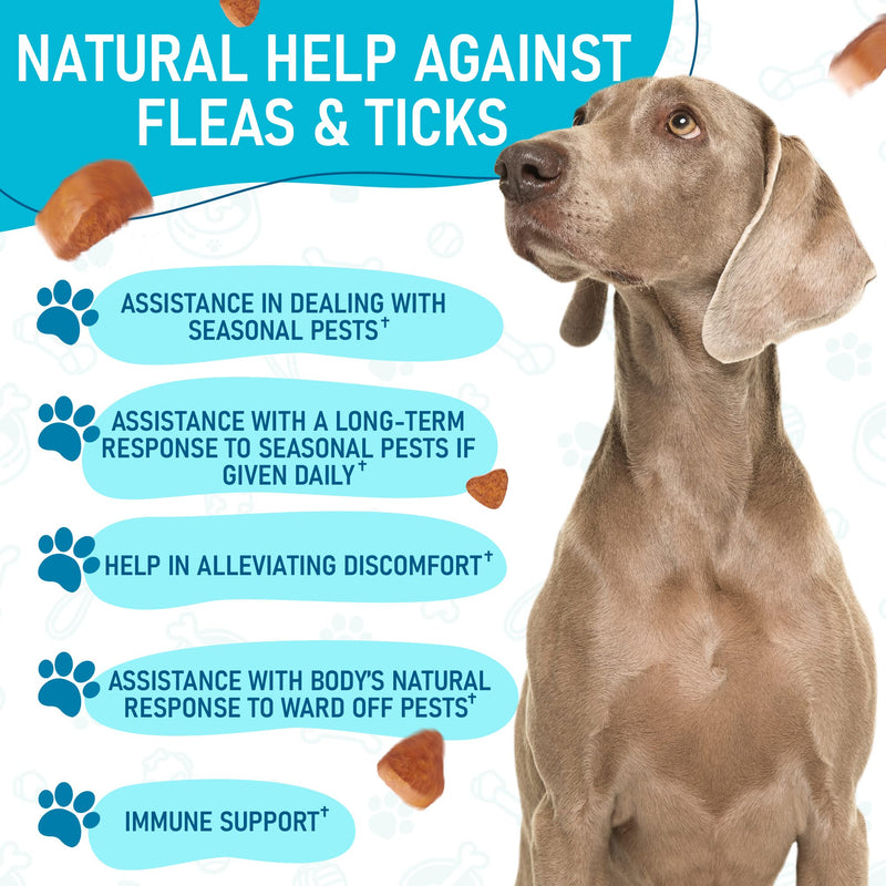 Natural Flea and Tick Chews for Dogs - No Collars, No Mess - Easy Help with Flea and Tick for Dogs - American Quality - for All Breeds and Ages - Duck-Flavored Treats - 180 Flea Chews for Dogs - BeesActive Australia