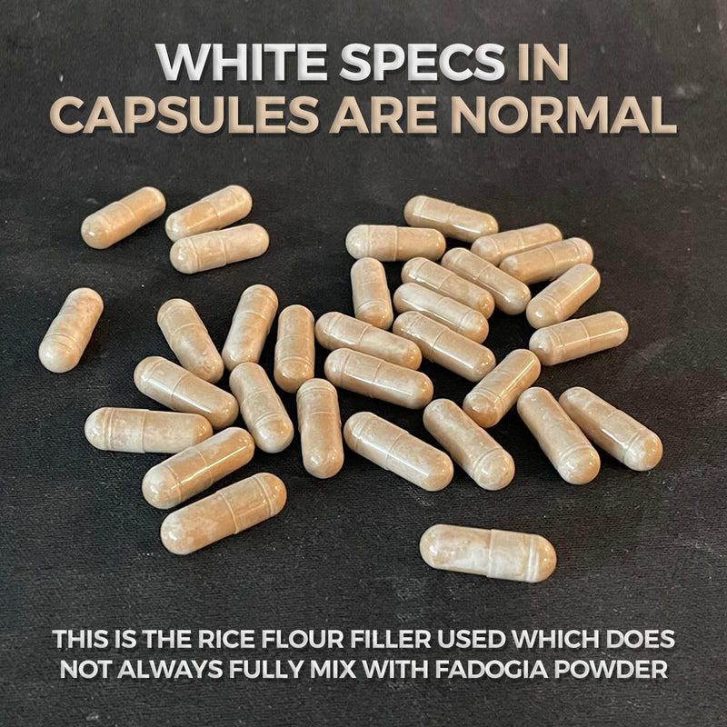 Fadogia Agrestis 600mg Per Serving (180 Capsules) Powerful Extract to Support Athletic Performance, Test Booster for Muscle Growth (Manufactured and Third Party Tested in The USA) by Double Wood - BeesActive Australia