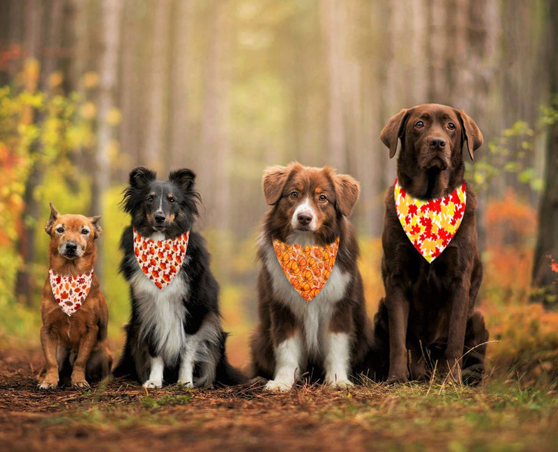 Dog Bandanas 4 Pcs, Thanksgiving Dog Bandana, Adjustable Holiday Dog Bandanas for Small Medium Large Dogs Pets - BeesActive Australia