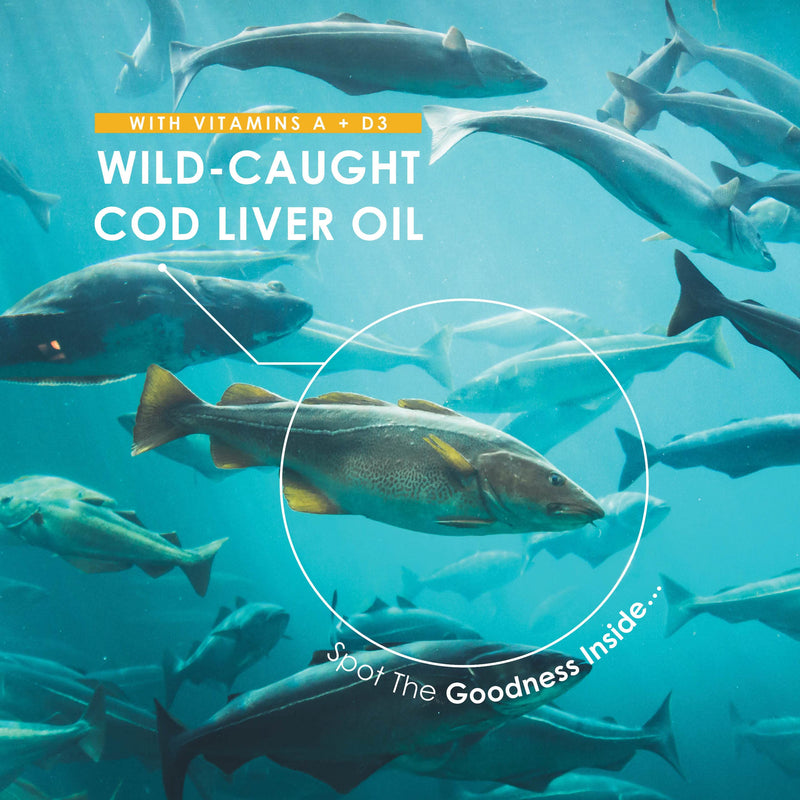 Cod Liver Oil 1000mg � Wild-Caught - Source of Omega-3 Fatty Acids � Rich in Vitamins A + D3 � Immune Health + Vision Support � 2 Months Supply - Non GMO, Gluten Free, Halal � 60 Softgels - BeesActive Australia