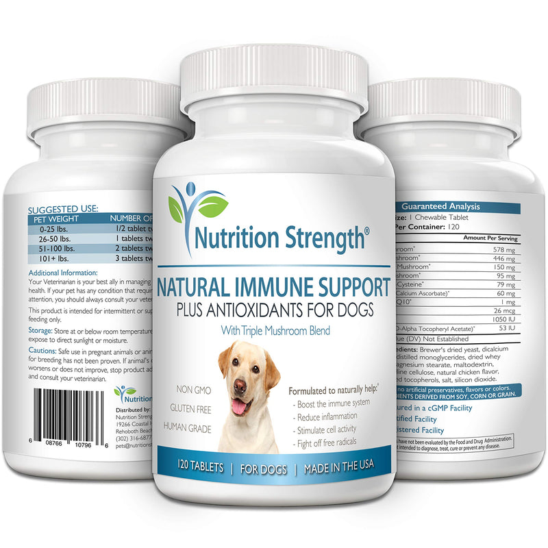 Nutrition Strength Immune Support for Dogs Plus Antioxidant, Reishi, Shiitake, Maitake, Turkey Tail Mushrooms for Dogs, with Coenzyme Q10, Nutritional Support for Dogs, 120 Chewable Tablets - BeesActive Australia