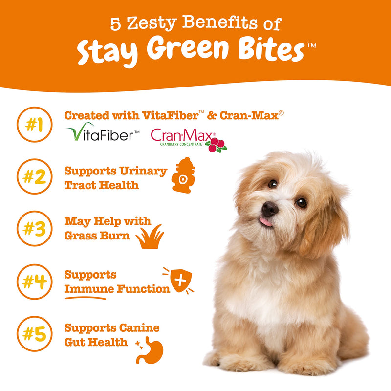 Zesty Paws Stay Green Bites for Dogs - Grass Burn Soft Chews for Lawn Spots Caused by Dog Urine Cran-Max Cranberry for Urinary Tract and Bladder with Apple Cider Vinegar Digestive Enzymes Chicken 90 Count - BeesActive Australia