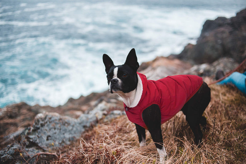 SAWMONG Dog Fleece Hoodie, Windproof Waterproof Dog Coat Fleece & Cotton Lined Warm Dog Jacket, Cold Weather Pet Apparel Clothes Vest for Small Medium Large Dog M: Length 12.6", Chest 15"-17.3" Red - BeesActive Australia