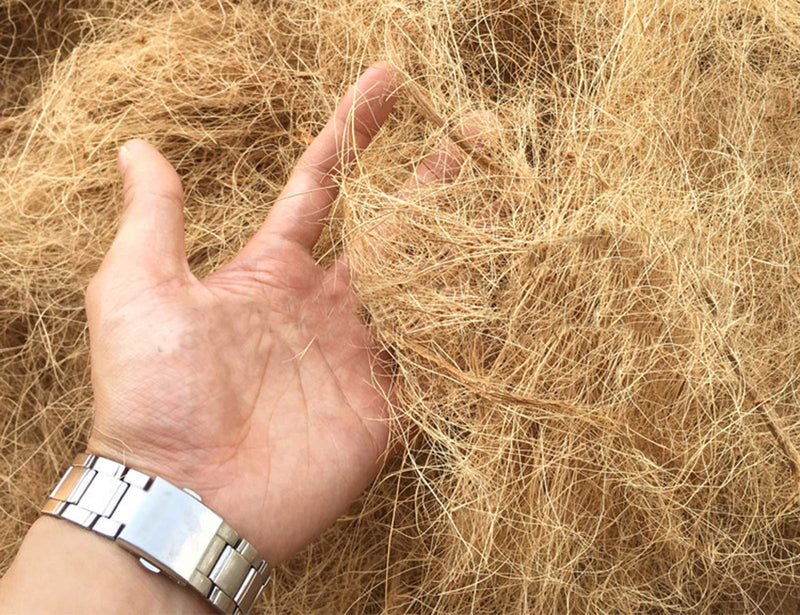 Lucky Interests Coconut Fiber, 9oz. Comfortable Bedding for Small Birds and Animals, Nest Material for Nest Building, Hideouts, Plants and Upholstery - BeesActive Australia