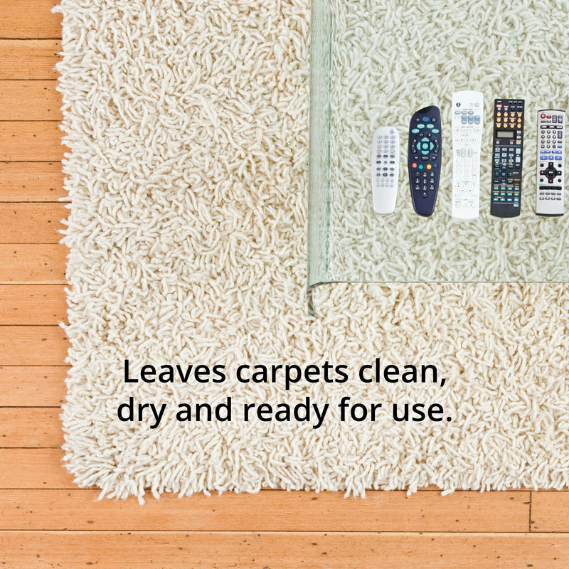 Arm & Hammer Pet Fresh Formula Dry Carpet Cleaner, 18 Ounce - BeesActive Australia