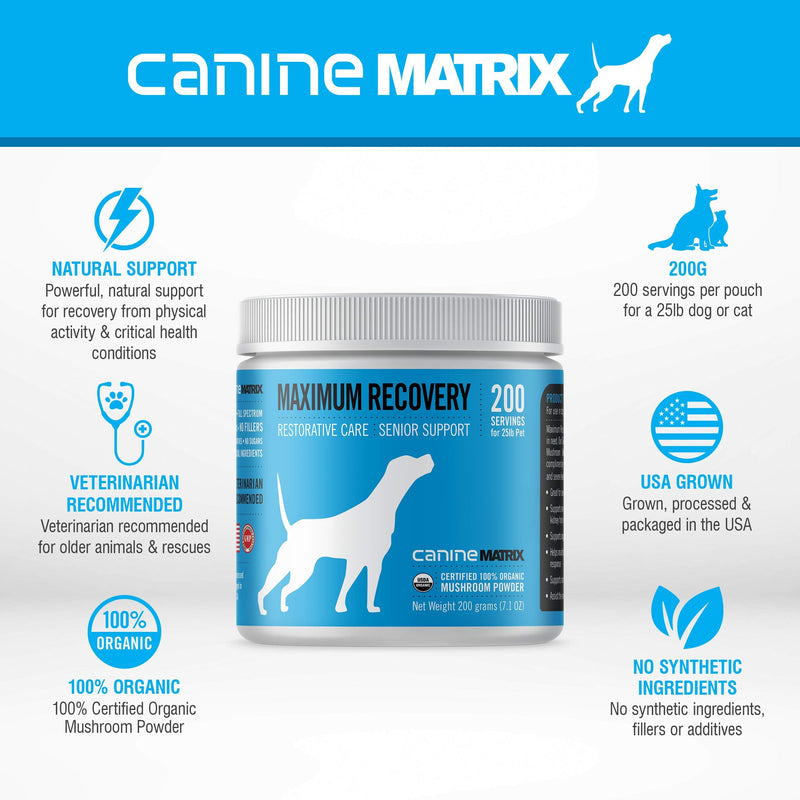 Mushroom Matrix Maximum Recovery and Senior Support Supplements 200 grams - BeesActive Australia