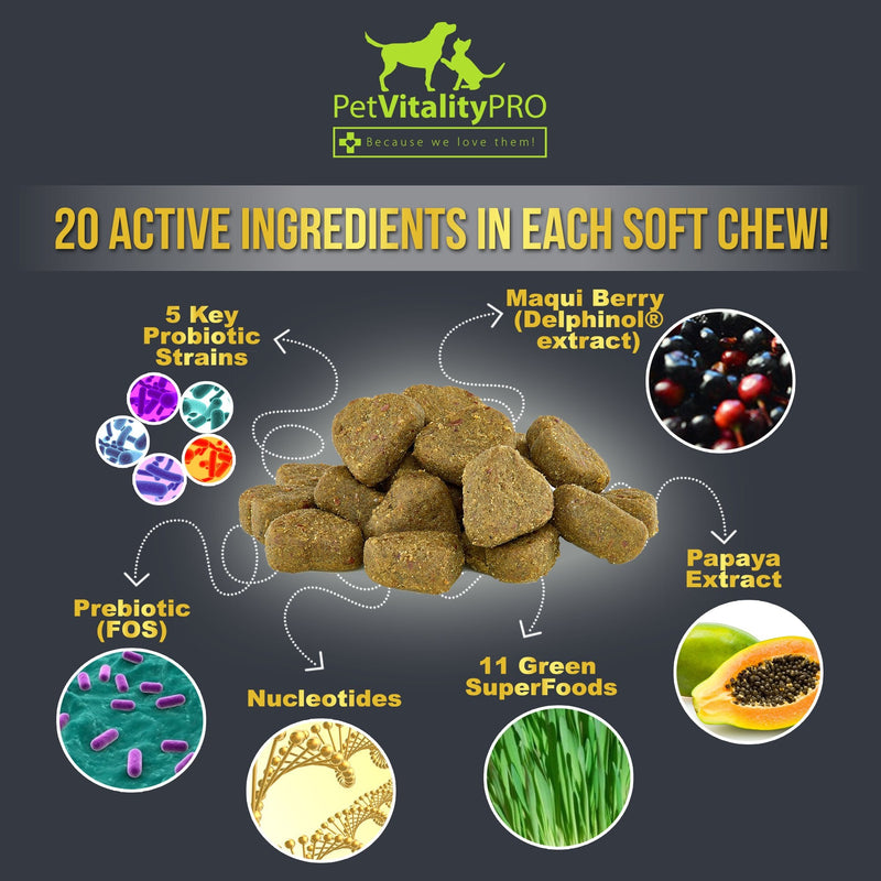 PetVitalityPRO Probiotics for Dogs with Natural Digestive Enzymes ● 4 Bill CFUs/2 Soft Chews ● Dog Diarrhea Upset Stomach Yeast Gas Bad Breath Immunity Allergies Skin Itching Hot Spots 150 - BeesActive Australia