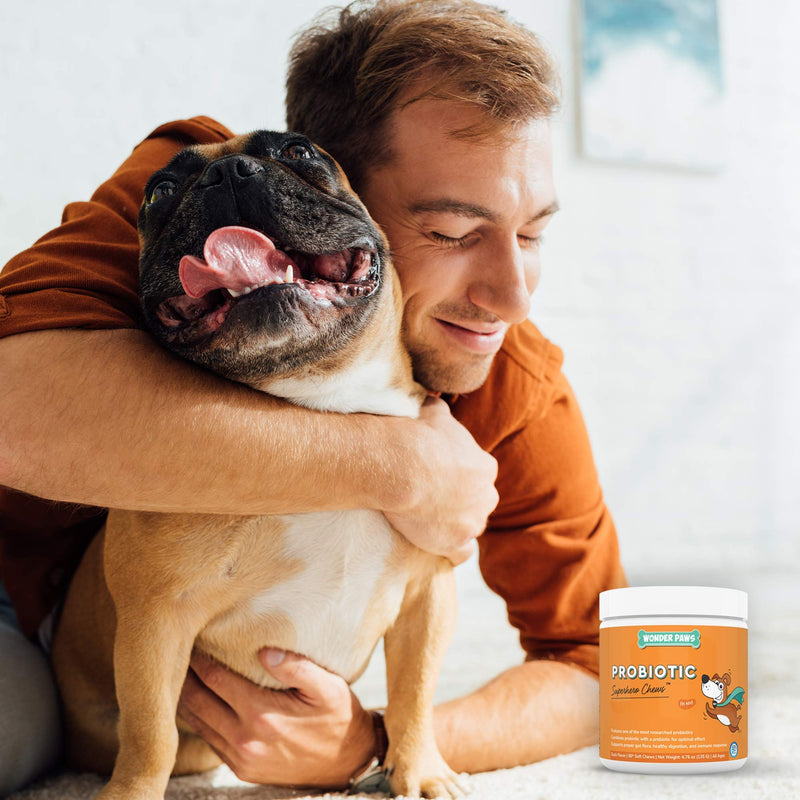 Wonder Paws Probiotics for Dogs – Daily Probiotic Supports Gut Health, Digestion, Gas, Bloating, Constipation, Stomach Relief & Immune Support - With Natural Probiotic & Prebiotic – 90 Probiotic Chews - BeesActive Australia
