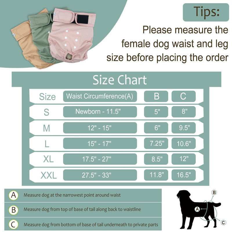 Grecle Washable Female Dog Diapers - Premium Reusable Diapers for Doggie in Heat - Highly Absorbent Dog Diapers Female for Pet Incontinence with Adjustable Snaps Medium (12”-15“Waist） Morandi - BeesActive Australia