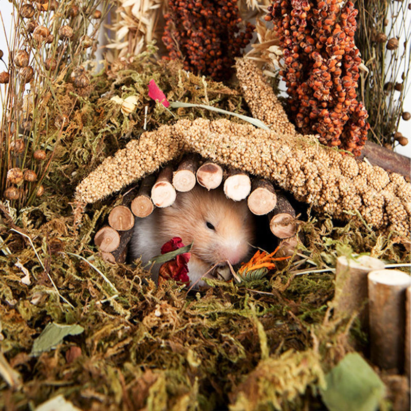 NICERINC PET Natural Herb Bedding Mate Habitat Decor, Adding Fun Hamster Accessories for Hamsters Gerbils Lemming Grain - BeesActive Australia