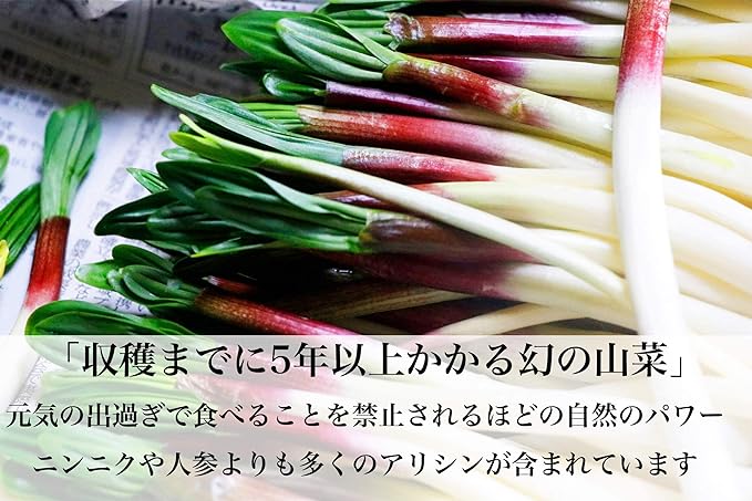 Gyoja Garlic from Nakashibetsu Town, Hokkaido (approximately 1 month supply, 30 grains) - BeesActive Australia