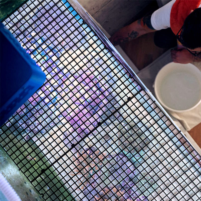 OBANGONG 4 Pcs Aquarium Grid Divider Tray Egg Crate Grid Louvre,12x12 inch Aquarium Fish Tank Divider Bottom Isolation Board for Mixed Breeding with 6 Pcs Sucker Clip type1 - BeesActive Australia