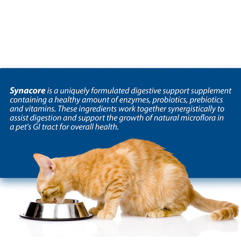Synacore Feline for Cats, Vitamins, 0.05 Oz, Box of 30 Stick Packs - BeesActive Australia