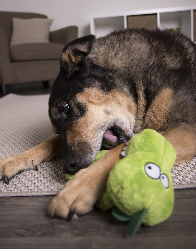Hear Doggy Flatties with Chew Guard Technology Dog Toy, Gator, Large, Green, Model:58546 - BeesActive Australia