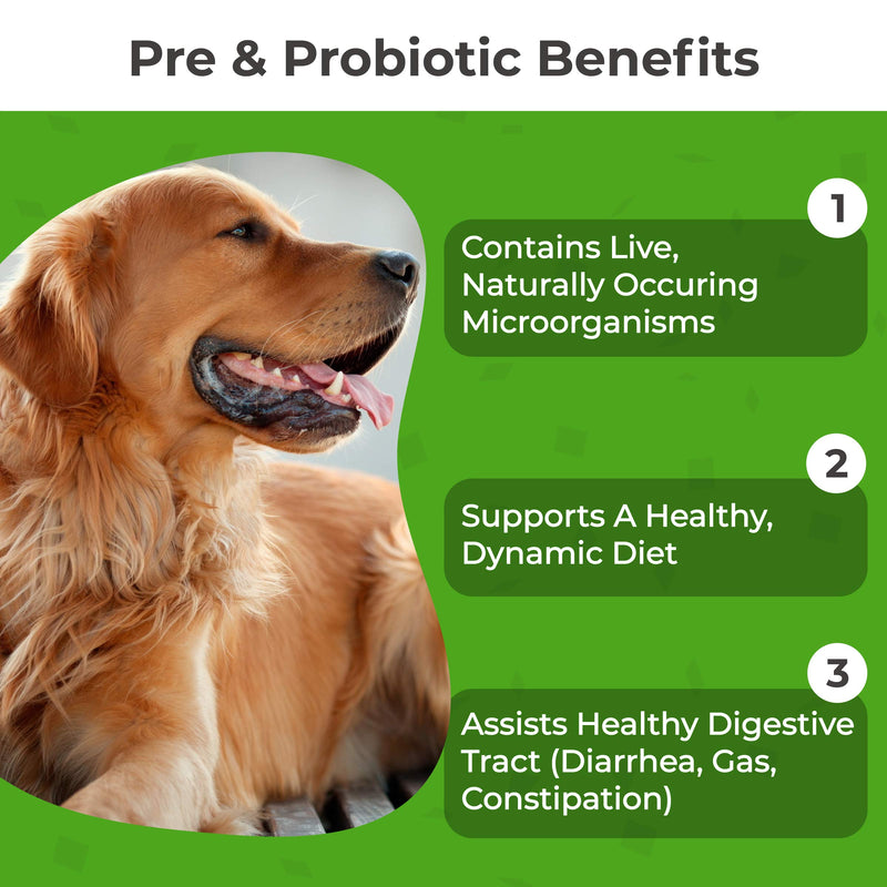 PawMedica Dog Probiotics and Digestive Enzymes, Probiotics for Dogs Made in USA, Pet Probiotic Chews for Dogs, Prebiotics & Probiotic Dog Digestive Support, Probiotic Treats 60 Dog Probiotic Chews - BeesActive Australia