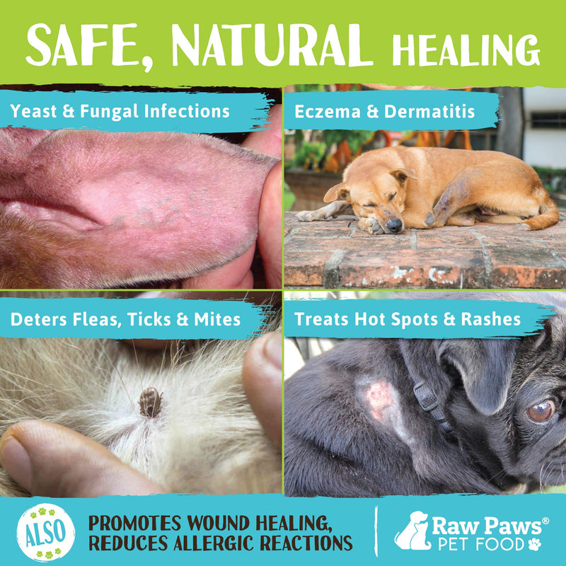 Raw Paws Organic Coconut Oil for Dogs & Cats, 16-oz - Treatment for Itchy Skin, Dry Nose, Paws, Elbows, Hot Spot Lotion for Dogs, Natural Hairball Remedy for Dogs & Cats - BeesActive Australia
