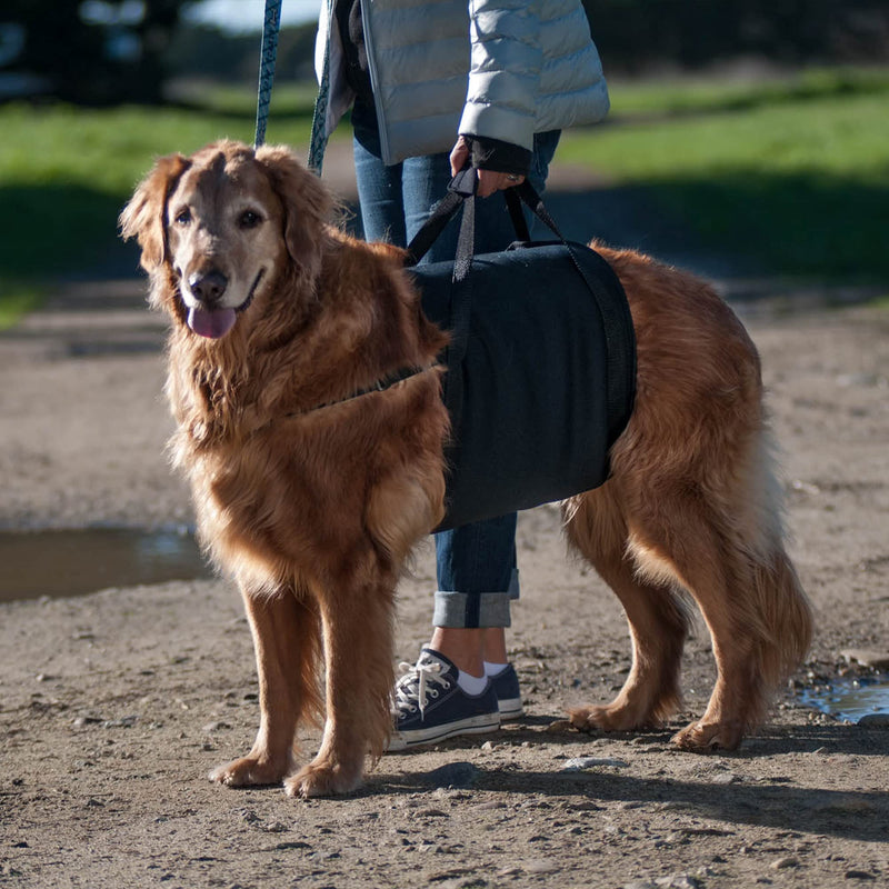 Walkabelly Support Sling, Easy-to-Use Belly Harness for Daily Mobility, Stop Straining to Lift Your Pet, Quick-Lift Original Design by Walkabout Harnesses Small Walkabelly - BeesActive Australia