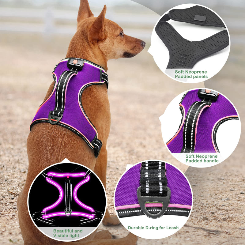Light Up Dog Harness No Pull LED Dog Harness with Handle Vizbrite Rechargeable Lighted Dog Vest Harness for Small/Medium/Large/X-Large Size Dogs No Pull, 4 Point Adjustable Easy Walk Dog Harness. Purple-Pink Medium - BeesActive Australia