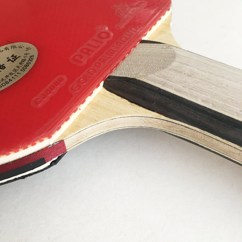 [AUSTRALIA] - Palio Expert 2.0 Table Tennis Racket & Case - ITTF Approved - Flared - Intermediate Ping Pong, Racket, Paddle 