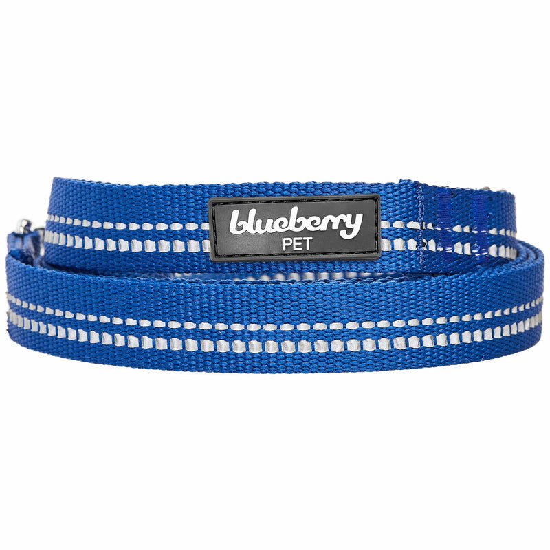 Blueberry Pet 8 Colors 3M Reflective Dog Leashes in Pastel Color with Neoprene Padded Handle 5' * 3/4" (Pack of 1) Navy - BeesActive Australia