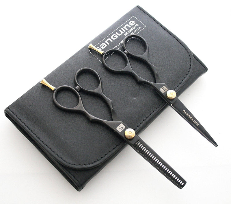 Professional Hair Scissors and Hair Thinning Scissors SET, 5.5 inch, Presentation Case 2 Piece Set - BeesActive Australia