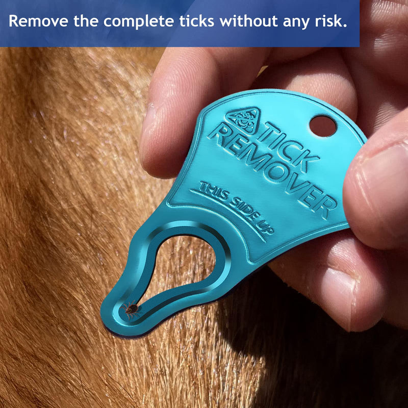 JOTOVO 3 Pack Tick Remover Tool Portable, Tick Removal for Pet and Humans, Safe and Reliable, Pain-Free, Essential Tools for Outdoor Activities - BeesActive Australia