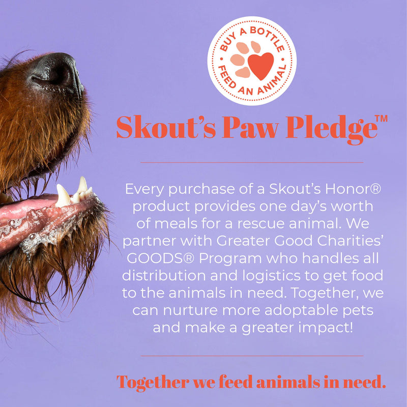 SKOUT'S HONOR: Probiotic Pet Shampoo & Conditioner - 2-in-1 with Avocado Oil - Cleans and Conditions Fur, Supports Pet’s Natural Defenses, PH-Balanced, Sulfate Free - Lavender 16 oz. - BeesActive Australia