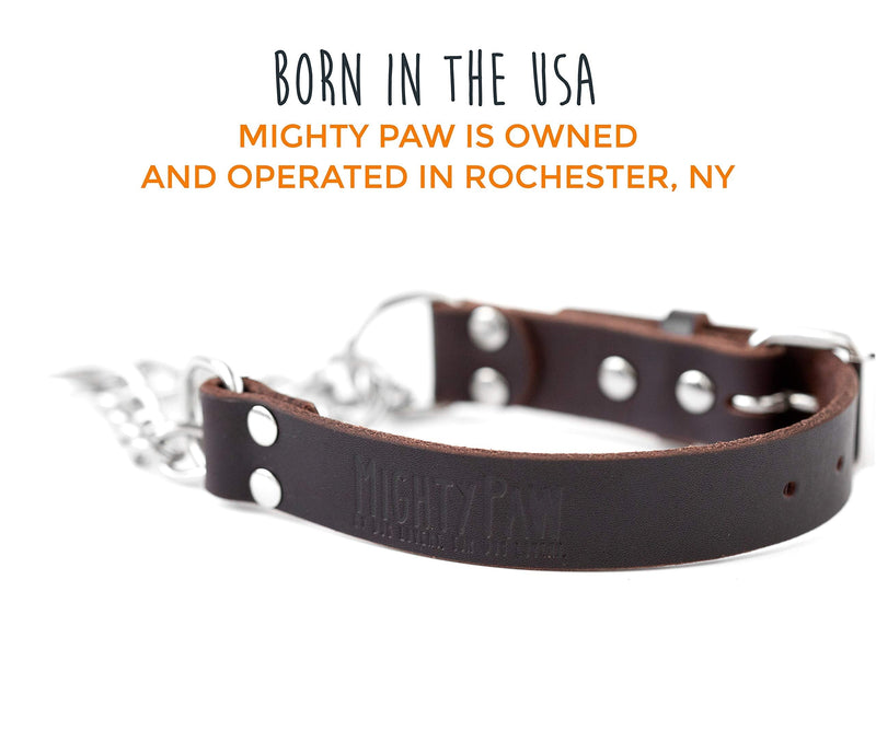 Mighty Paw Leather Training Collar, Martingale Collar, Stainless Steel Chain - Premium Quality Limited Chain Cinch Collar. Medium Brown - BeesActive Australia