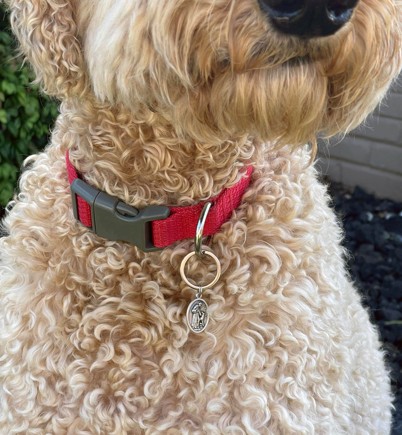 St Francis of Assisi Pendant for Pet Collar - St Francis Dog Tag, Cat Tag, Animal Tag with Split Ring for Catholic Patron Saint of Cats, Dogs, St Francis of Assisi Medal - Made in Italy - BeesActive Australia