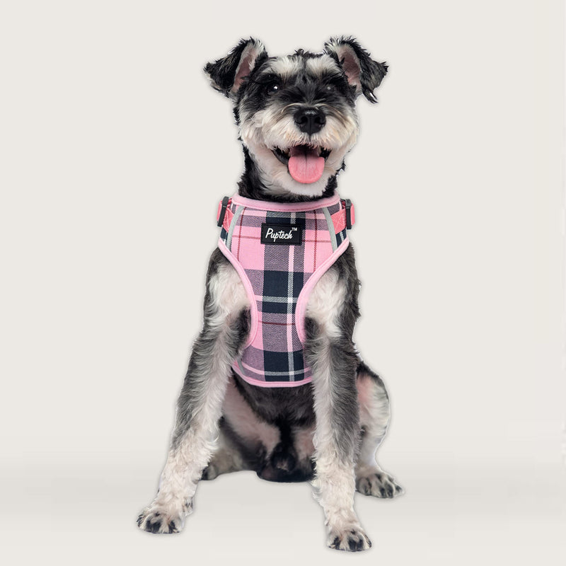 PUPTECK Small Dog Haness and Leash Collar Set Fully Adjustable Puppy Soft Mesh Harness No Pull Reflective X-Small Pink - BeesActive Australia