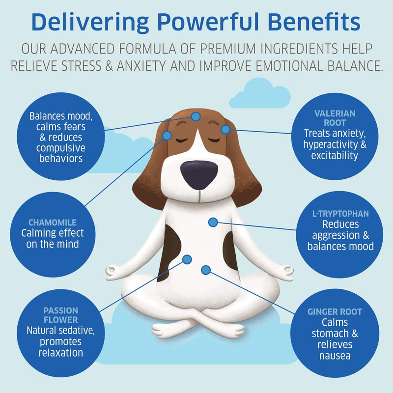 Calming Chews for Dogs - Dog Calming Chews - Anxiety Relief Treats - Natural Dog Anxiety Relief - Separation, Stress, Barking, Thunderstorms, Lightning - Dog Anxiety Chews - 120 Calming Dog Treats Duck - BeesActive Australia